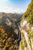 洛阳白云山森林