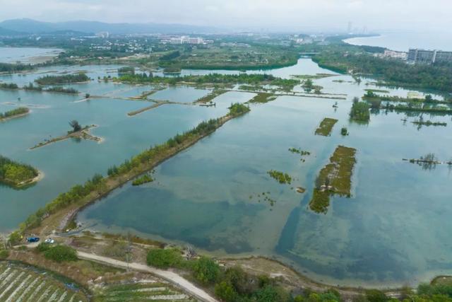 保乐力加“海南时间”：中国市场布局升级，更有“新版图”发布-图片5